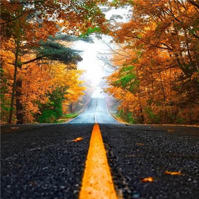 赏金女王官网正版下载